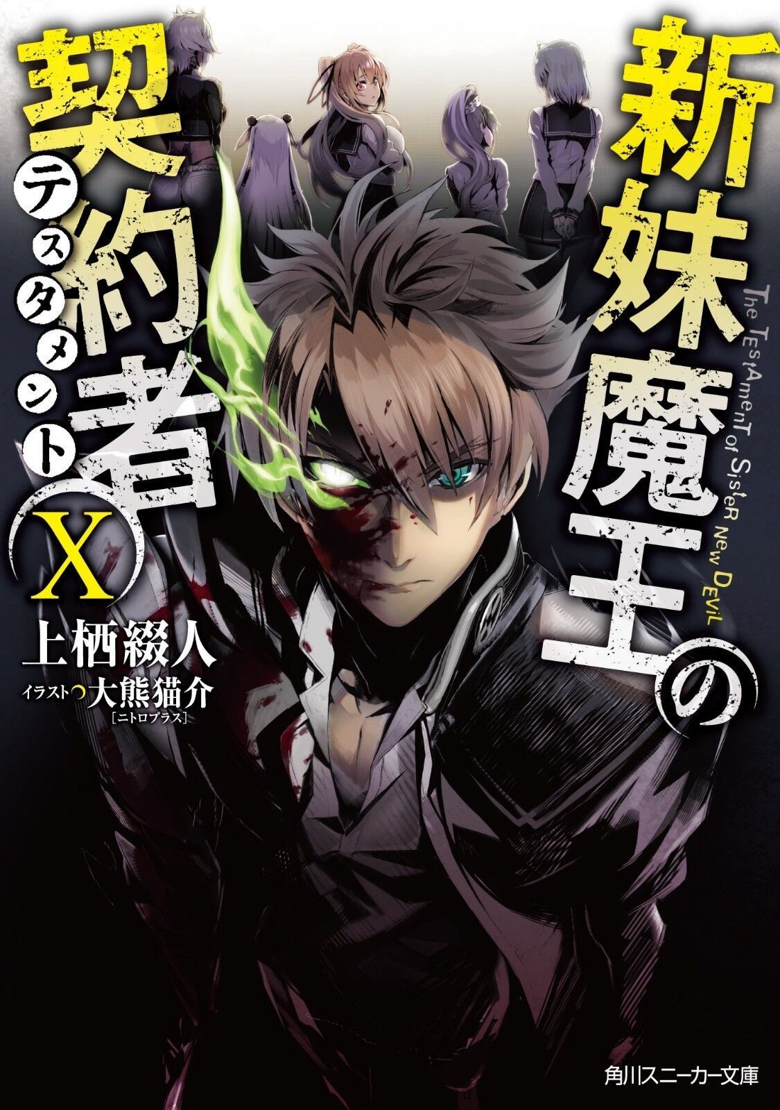 Novel: The Testament of Sister New Devil Vol.10 X Japan  - $25.19