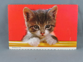 Vintage Postcard - Thinking of You Kitten Head - Continental Card - $15.00