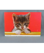 Vintage Postcard - Thinking of You Kitten Head - Continental Card - $15.00