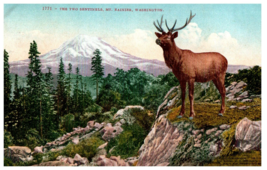 No. 1771 The Two Sentinels Mt. Reiner Washington Mitchell Postcard. Posted 1910 - £13.11 GBP