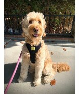 SALE! Dog Harness for Small Medium and Large Dogs No Pull No Choke - $7.94