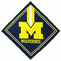 Littlearth NCAA Michigan Wolverines Team Fan Flag , 3.5&quot; x .5&quot; x 6&quot;, Tea... - £5.86 GBP