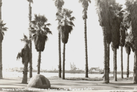 Santa Barbara California Stearns Wharf Real Photo Postcard - $11.37