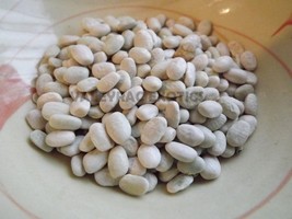 To:ota Bawi, White Tohono O&#39;Odham Tepary Bean, Phaseolus acutifolius 5 seeds (H  - £2.35 GBP