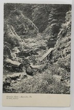 PA Marietta Pennsylvania Wild Cat Falls Wildcat c1906 Postcard S13 - £9.34 GBP