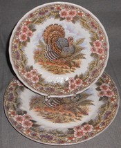 Queens Thanksgiving Pattern Dinner Plate And Salad Plate - £31.06 GBP