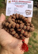 LABORATORIO CERTIFICADO Raro 9 Mukhi RUDRAKSHA Rudraksh Mala ROSARIO 108... - $32.80