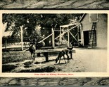 Vtg Postcard 1911 Mankato Minnesota MN Deer Park at Sibley Faux Wood Frame - £11.63 GBP