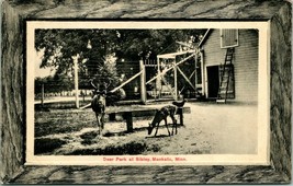 Vtg Postcard 1911 Mankato Minnesota MN Deer Park at Sibley Faux Wood Frame - £11.65 GBP