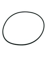Pentair Sta-Rite U9-169 Seal Plate O-Ring - $31.10 CAD