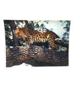 Leopard Animal 3-D 3D Postcard Unposted Wonder Co. 1970s Vintage Printed... - £18.64 GBP