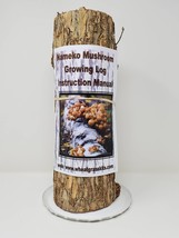 13 inch Long Nameko Mushroom Growing Log Pre-Inoculated To Order Organic... - $69.95