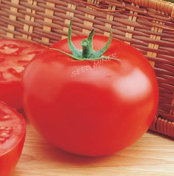 Tomato Delicious 30 45 Organic 1 2 Lbs Fresh Seeds - £9.27 GBP