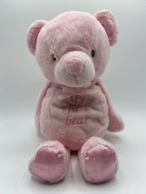 Kellytoy Pink My First Bear Plush 9&quot; Stuffed Animal Rattle Satin Feet Baby Lovey - £6.45 GBP