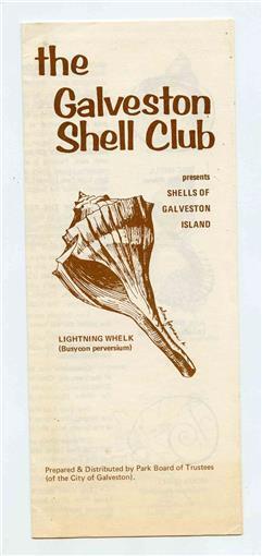 Primary image for The Galveston Shell Club Brochure Seashells of Galveston Island Texas 