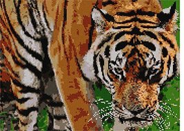 Pepita Needlepoint Canvas: Tiger Too Close, 14&quot; x 10&quot; - £77.36 GBP+