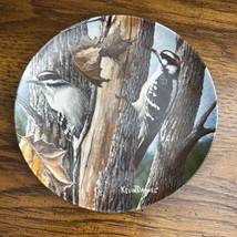 The Downy Woodpecker Plate Birds  Kevin Daniel, Edwin Knowles Collection  - $10.00