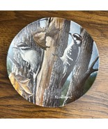 The Downy Woodpecker Plate Birds  Kevin Daniel, Edwin Knowles Collection  - $184.07 MXN