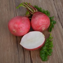 500 German Giant Radish Seeds Nongmo Heirloom Huge Radishes Mild FlavorFrom US - £6.60 GBP