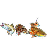 Drum Trout Flounder Fish High Quality Graphic Decal Car Boat Cup Golf Ca... - €6,03 EUR+