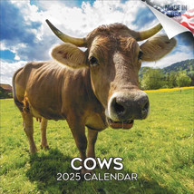 COWS Wall Calendar 2025 Farm Animal Dairy Lover Gift - £19.00 GBP