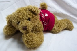 Hallmark Bobby Boxer Teddy Bear Hearts Valentine 12&quot; Plush Stuffed Animal Toy - $16.34