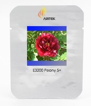 Heirloom Dark Red Middle Peony Tree Flower Seeds, Professional Pack, 5 Seeds / P - £7.90 GBP