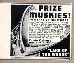 1954 Print Ad Prize Muskies Lake of the Woods Ernie Calvert Rainy River,Ont Can - £7.06 GBP