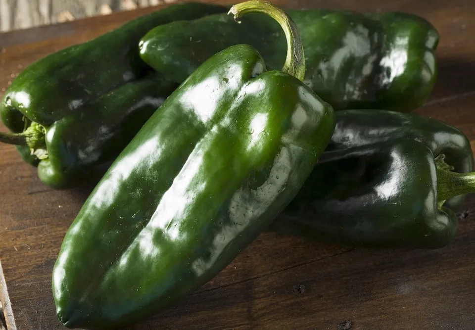 30 Fresh Seeds Ancho Poblano Chile Pepper - £7.56 GBP