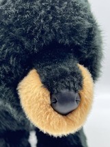 Douglas Cuddle Toys Boulder the Black Bear Plush Item 272 Stuffed Animal 2011 - $19.62
