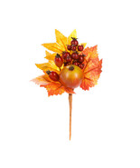Pomegranate And Berry Pick Multicolored, 5.5 X 9 Inches - £14.97 GBP