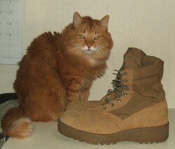 US Army McRae temperate combat boot 12R very lightly used, civilian label - $75.00