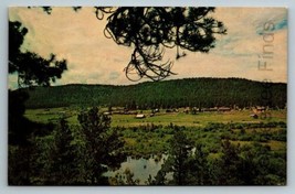 Vintage Postcard Of Beautiful Valley Of Greer Arizona White Mountain - £12.76 GBP