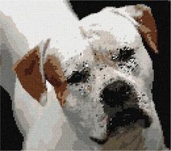 Pepita Needlepoint Canvas: American Bulldog, 10&quot; x 9&quot; - £62.34 GBP+