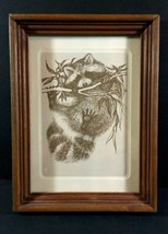 Framed Racoon Hanging From Branch Brown Pen &amp; Ink Artwork &quot;Hang In There&quot; Style - £14.68 GBP