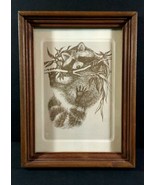 Framed RACOON HANGING FROM BRANCH Brown Pen &amp; Ink Artwork &quot;Hang in there... - £14.86 GBP