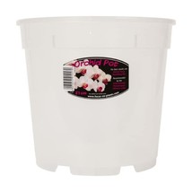 21cm Clear Orchid Pot  - $6.00