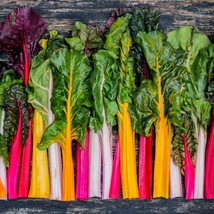 Fresh New 500 Rainbow swiss chard seeds #0193 - £12.48 GBP