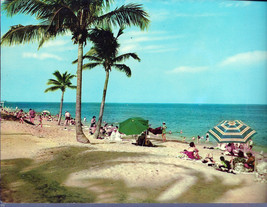Having Fun on  Florida's Fine Beaches Florida 9" X 6" Postcard - £1.60 GBP