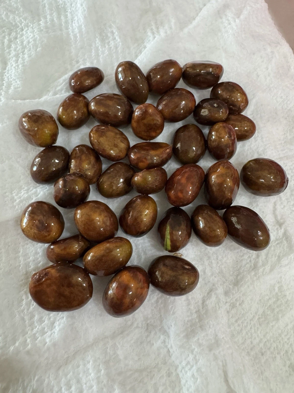 35+ Organic Loquat Seeds From Original Tree Fruit Selling For The Season... - $18.90