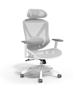 Staples Dexley Ergonomic Mesh Swivel Task Chair - $129.00