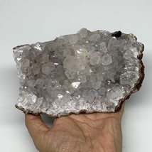 936g, 6.5&quot;x4.9&quot;x1.7&quot;, Rare Manganese Cluster With Quartz Mineral Specimen,B10657 - £88.16 GBP