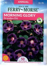 GIB Morning Glory Grandpa Ott Flower Seeds Ferry Morse  - $9.00