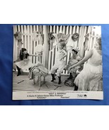 Half a Sixpence Movie Film Original Photo Portrait 1967 - $376.60 MXN