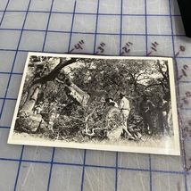 Vintage Postcard 1930s 155mm Gun In Action 2nd Field Artillery - $16.52 CAD