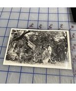 Vintage Postcard 1930s 155mm Gun In Action 2nd Field Artillery - €10,12 EUR