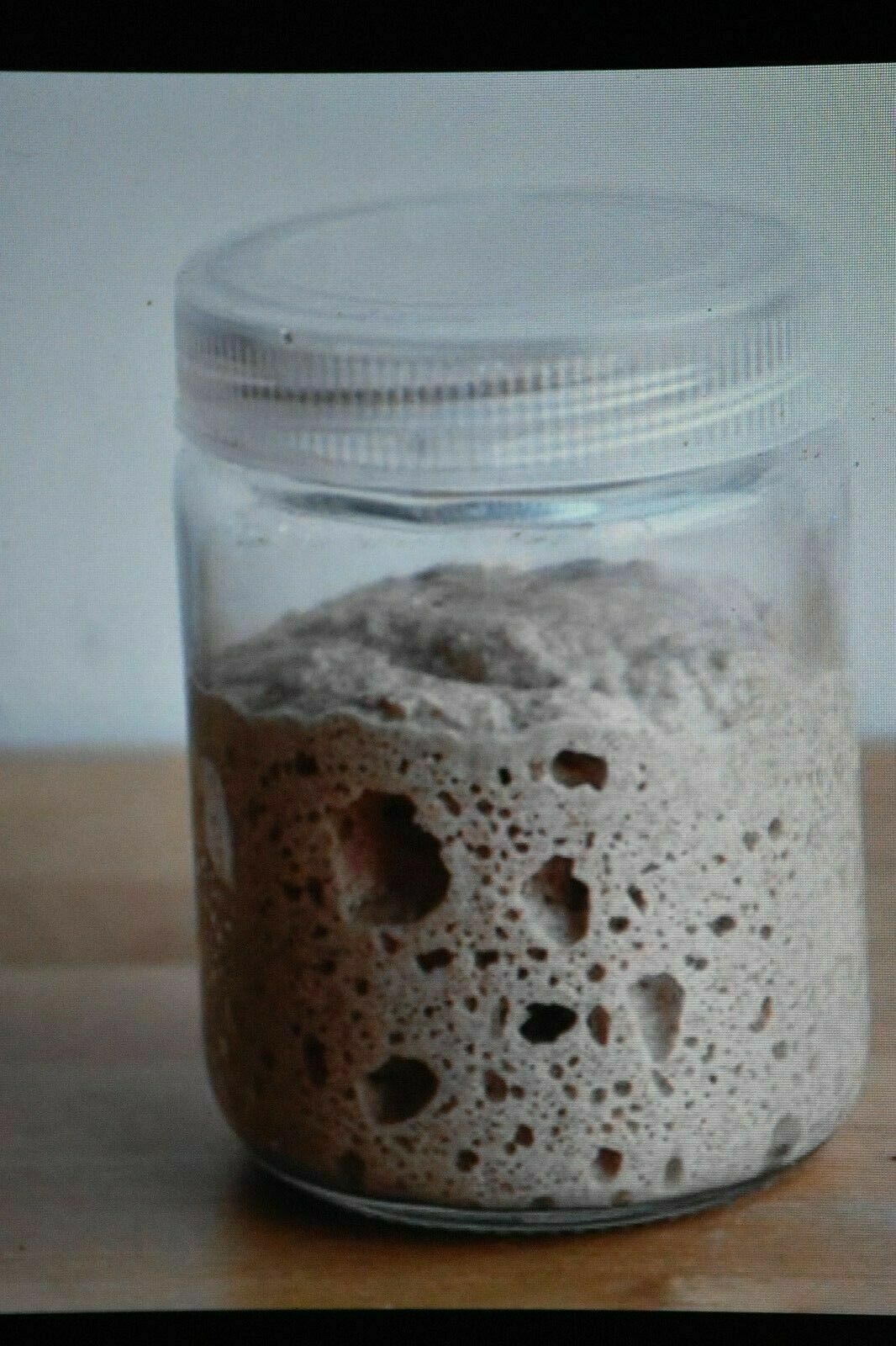 Primary image for Tangy very sour ORIGINAL WHARF SAN FRANCISCO SOURDOUGH STARTER tangy sour