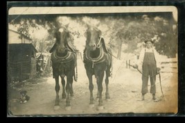 Vintage RPPC Photo Postcard Farming Draft Horse Team Puppy Dog Man in Overalls - £15.63 GBP