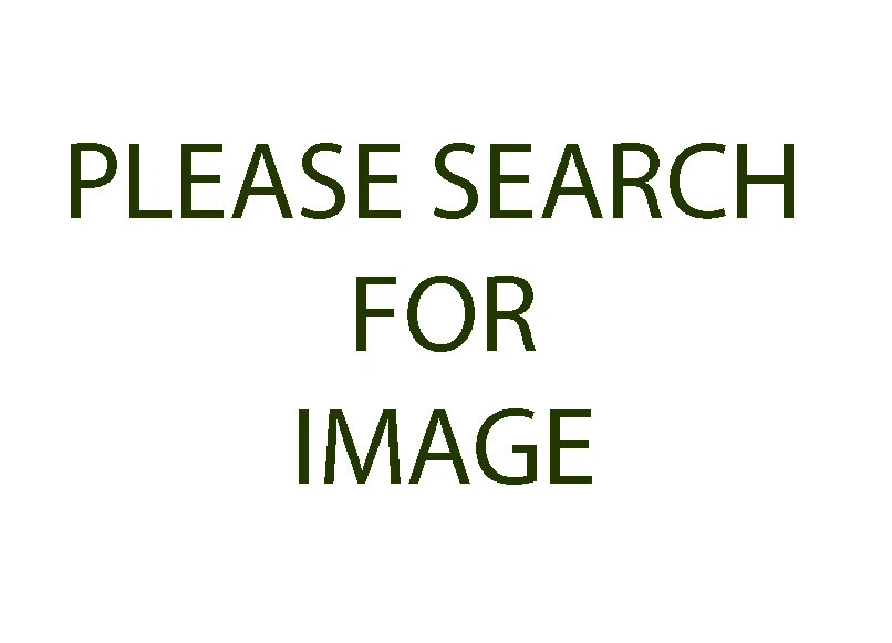 CACTUS SEED--Frailea densispina AH0054--20 Seeds - $16.45