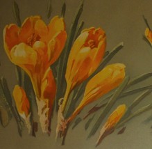 A/S C. Klein Yellow Crocuses Antique Art Postcard  - £9.46 GBP